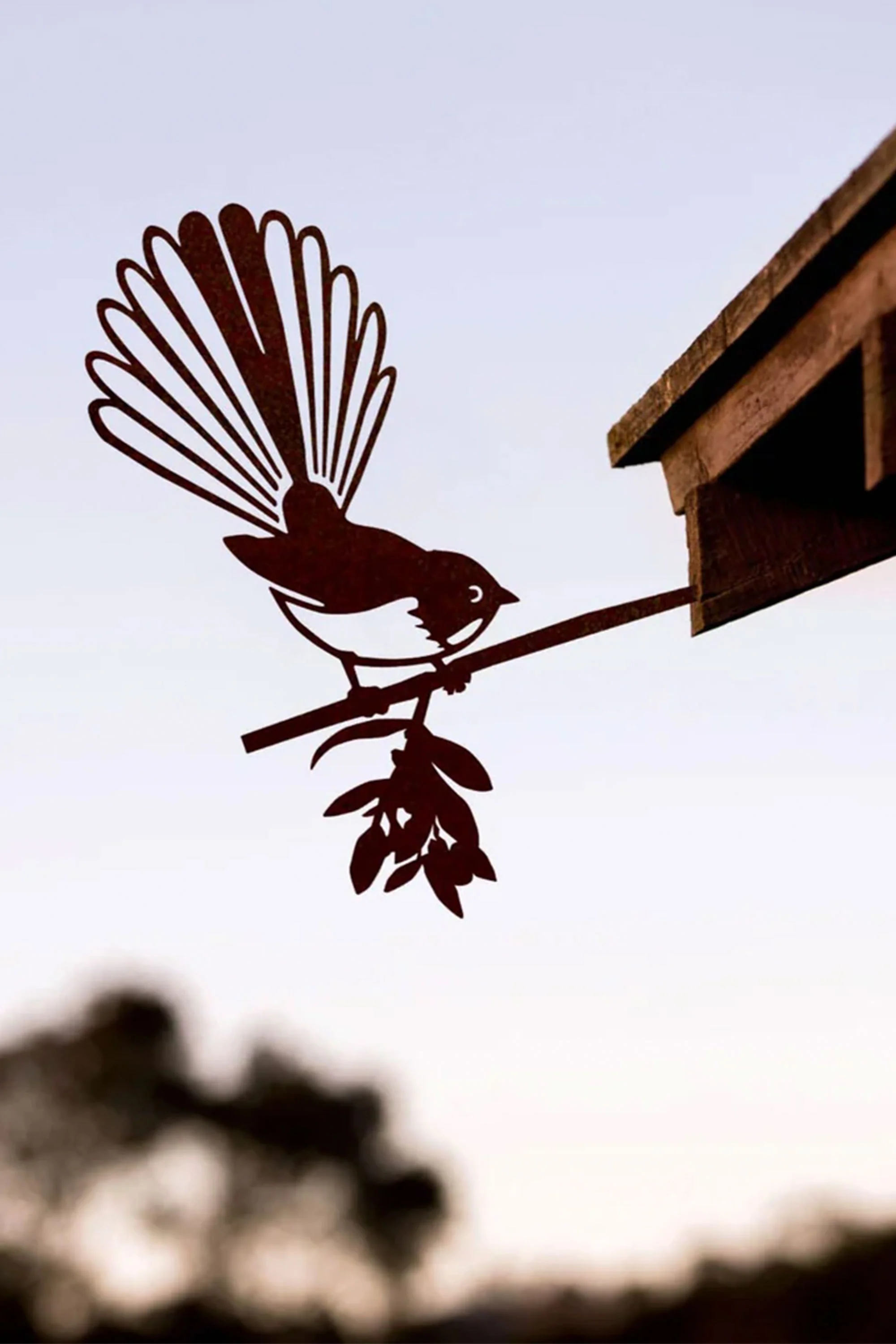 Piwakawaka / Fantail